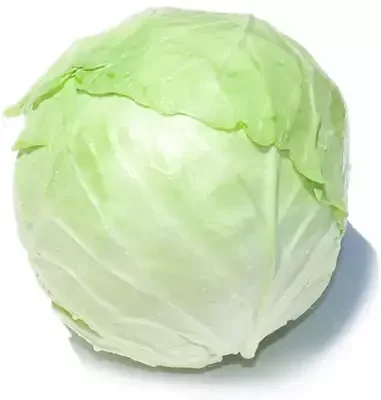 ملفوف ابيض
