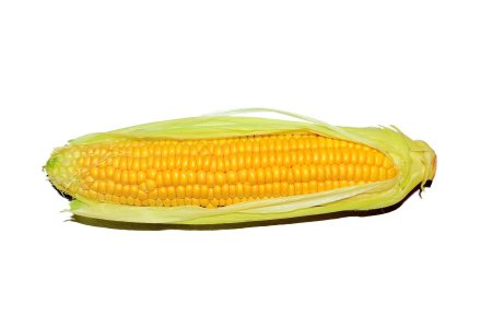 ذرة