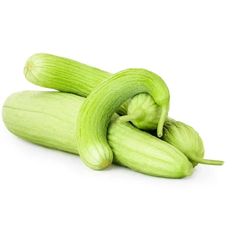 فقوس