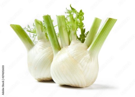 شومر