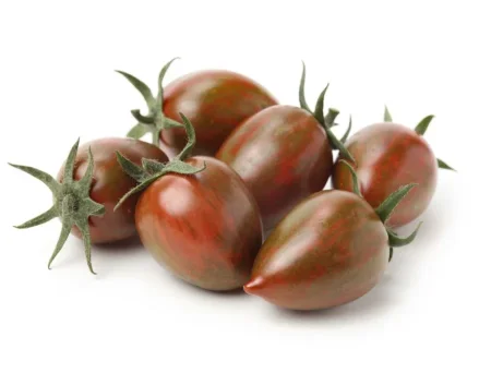 شيري غامق