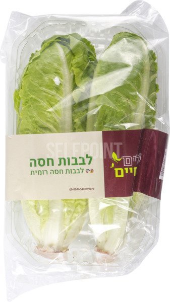 לבבות خس