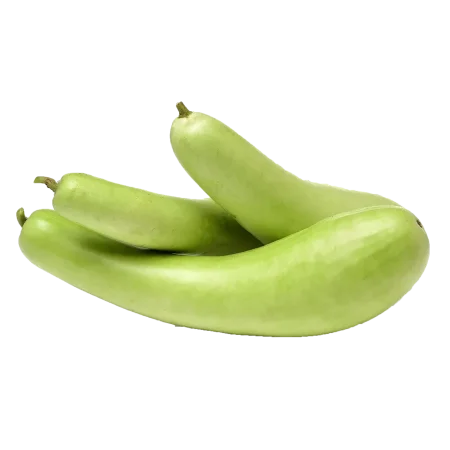 قرع